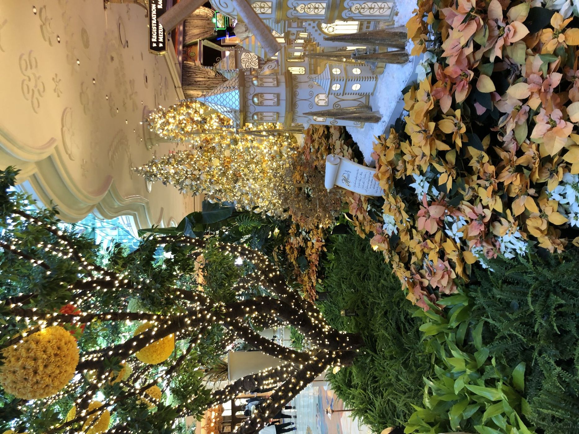 Whinn Las Vegas, USA