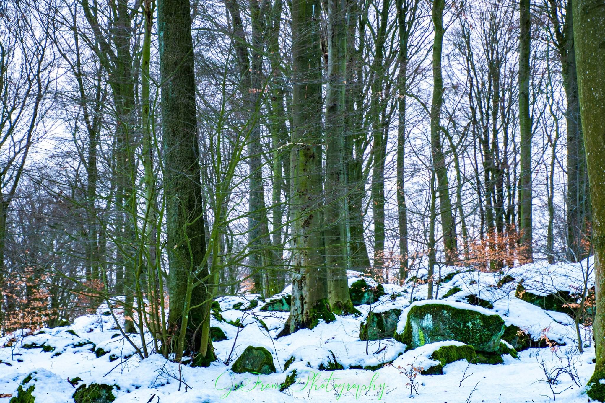 Wolfskaul, Germany