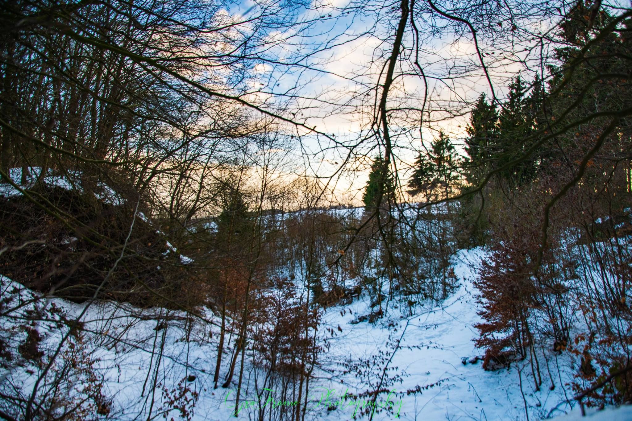 Wolfskaul, Germany