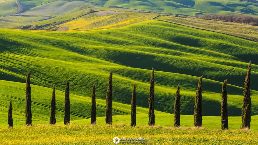 Agriturismo Baccoleno, Asciano