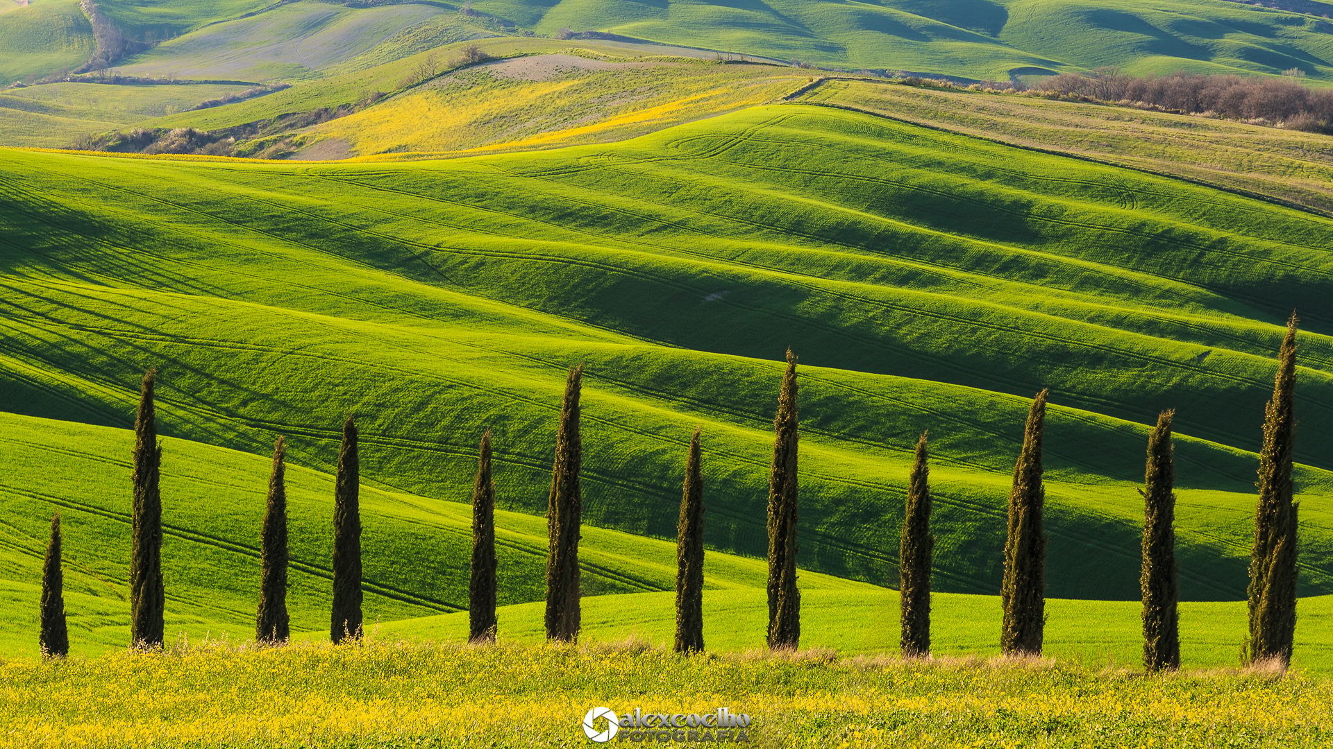 Agriturismo Baccoleno, Asciano, Italy