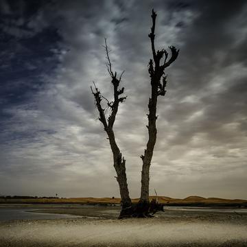Al Ain Lake, United Arab Emirates