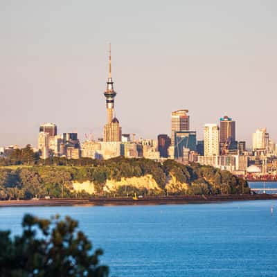 Auckland Skyline dawn, New Zealand