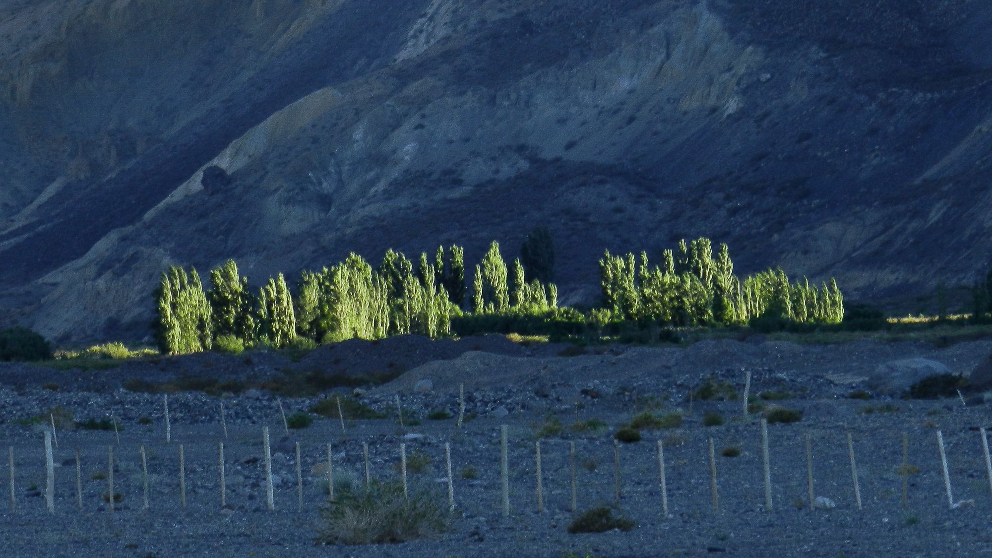 Bardas Blancas, Argentina