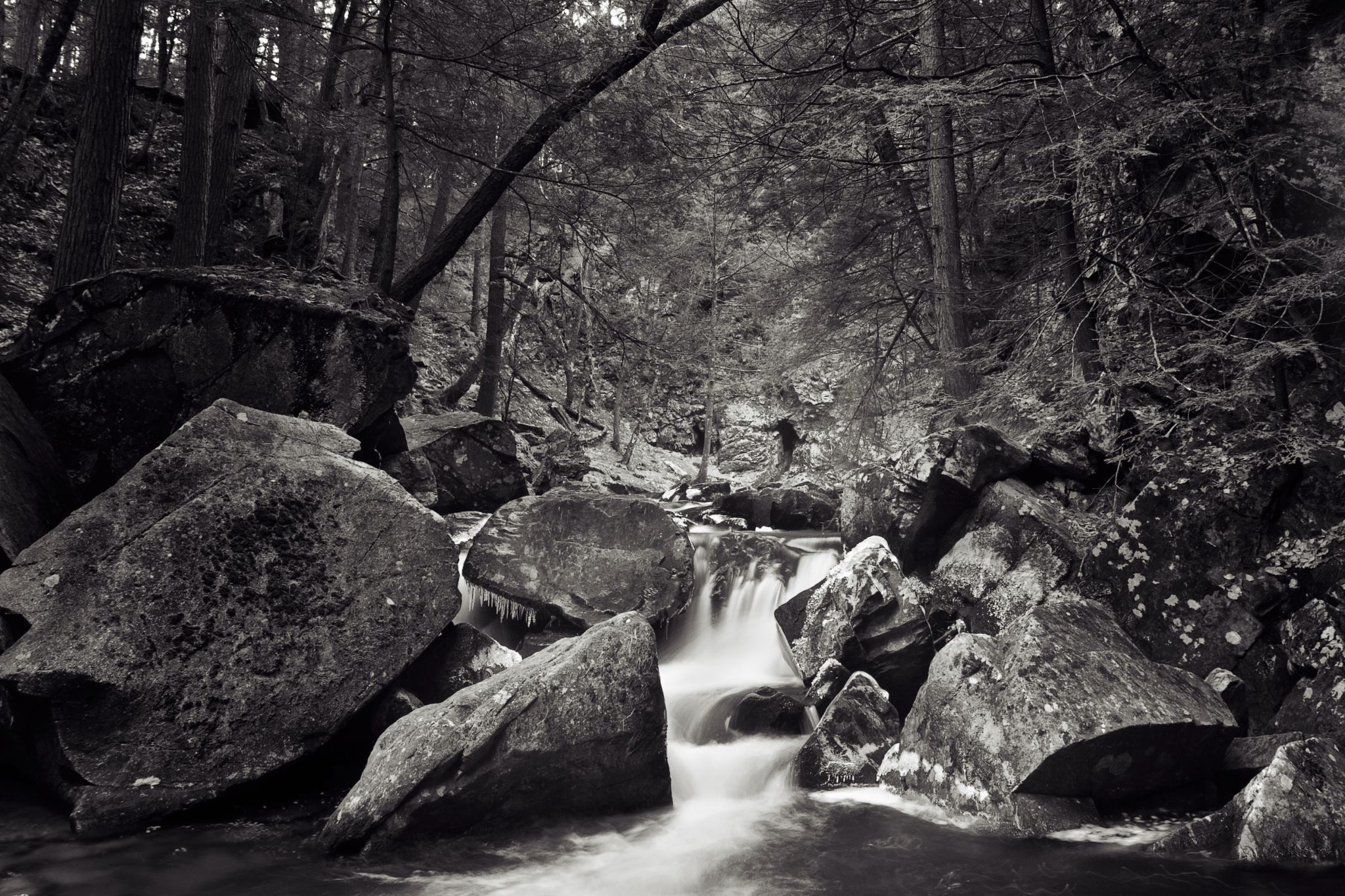 Bear's Den, USA