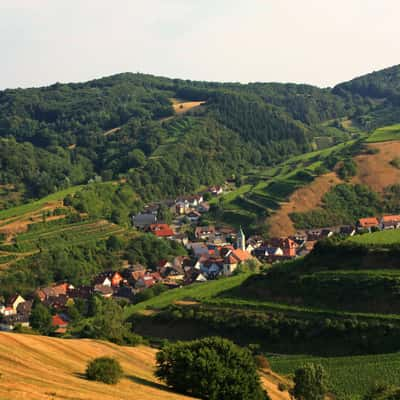 Blick auf Schelingen im Kaiserstuhl, Germany