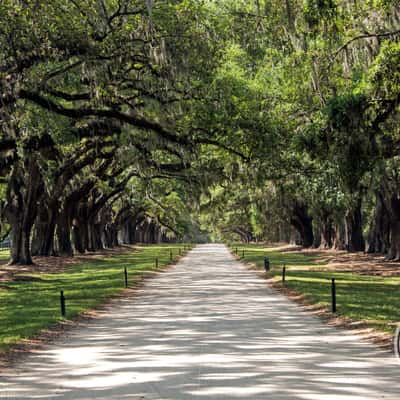 Boone Hall Plantation, USA