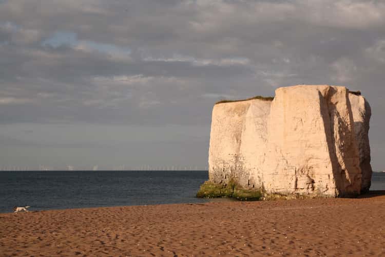 Botony Bay