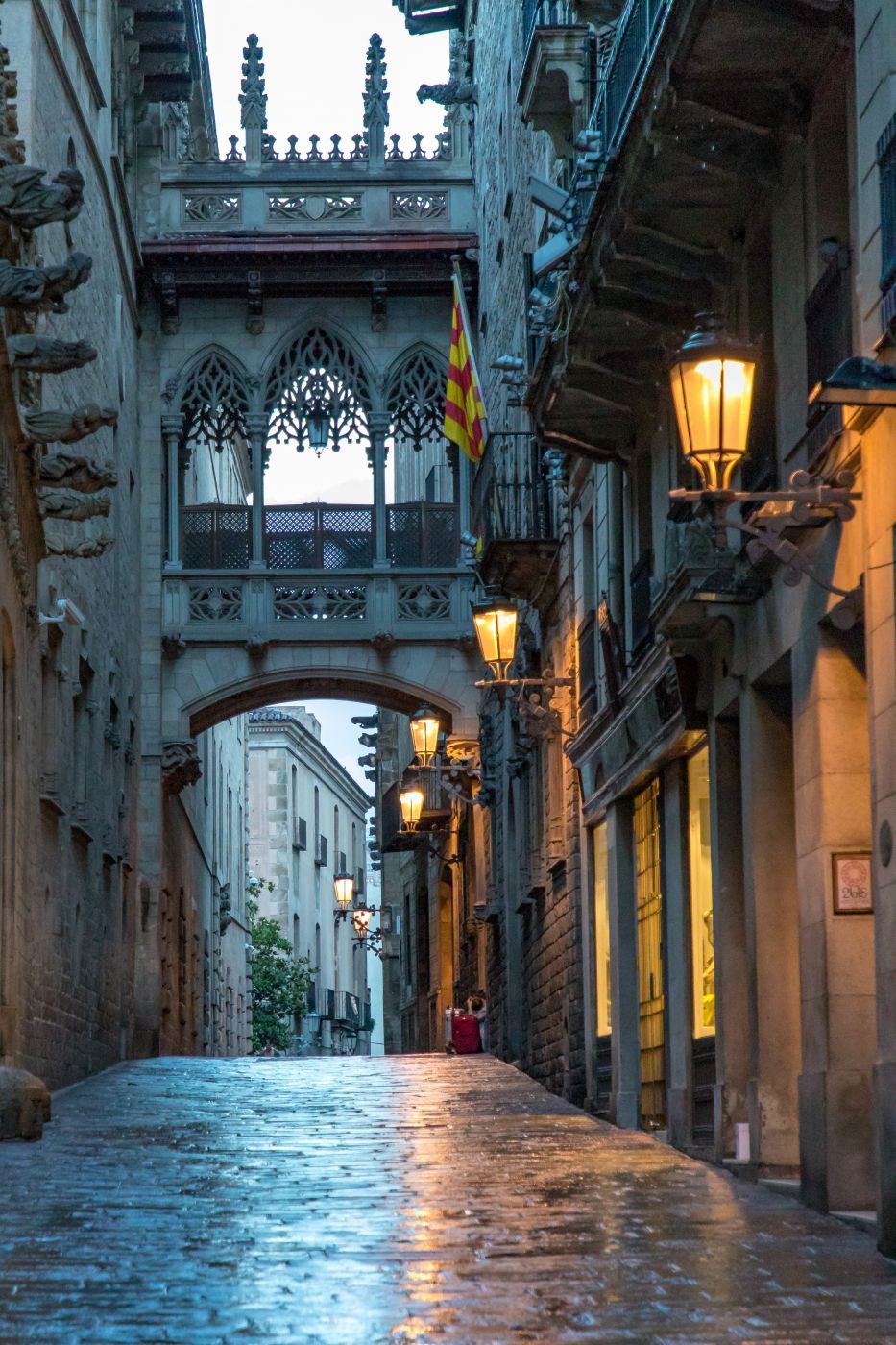 Carrer del Bisbe, Spain