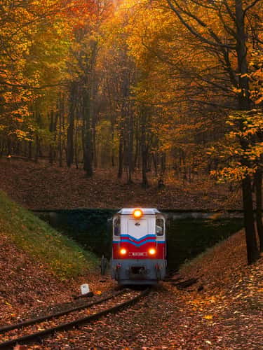 Children's Train in Budapest