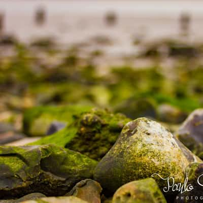 Coalhouse Fort, United Kingdom, United Kingdom