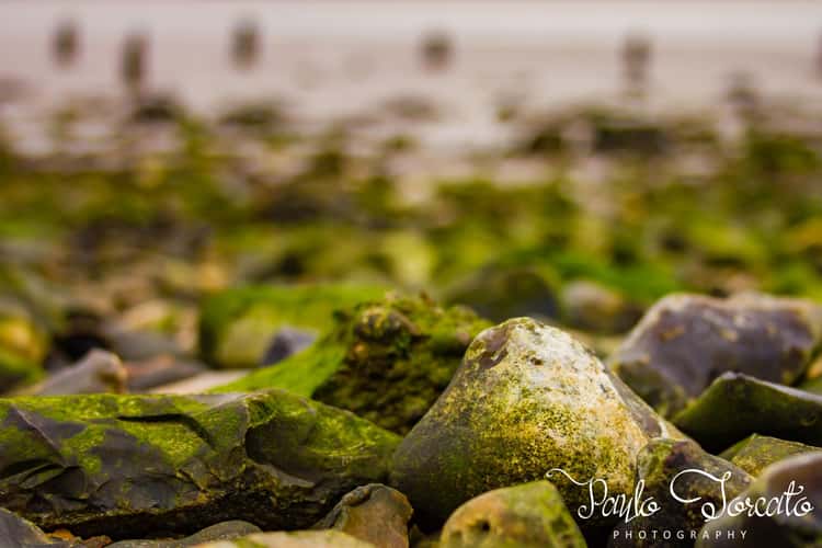 Coalhouse Fort, United Kingdom
