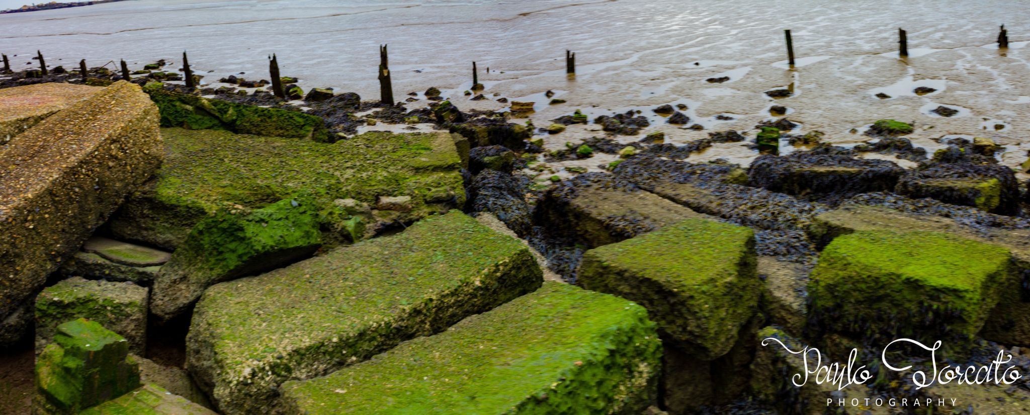Coalhouse Fort, United Kingdom, United Kingdom