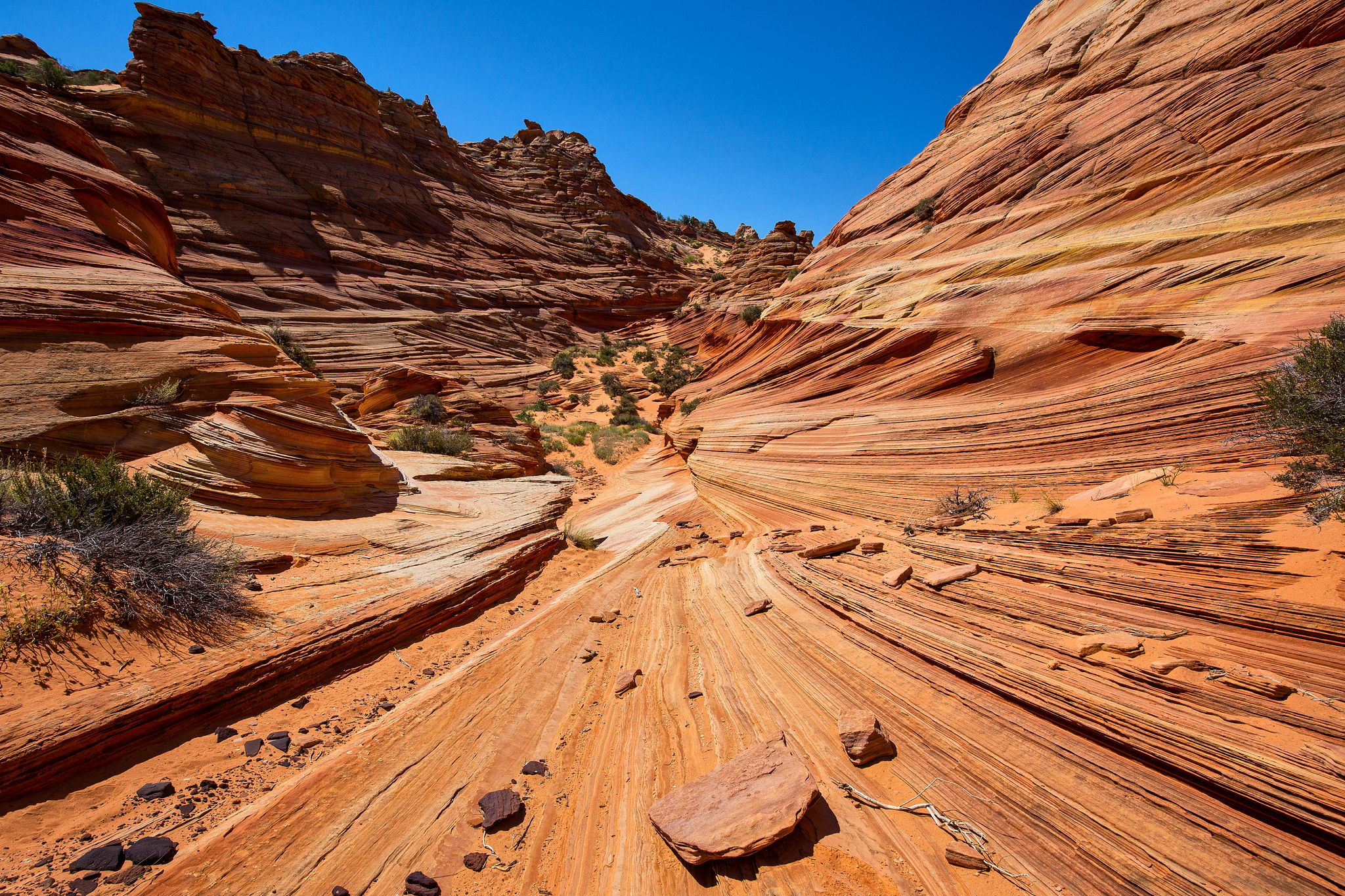 Coyote Buttes South, USA