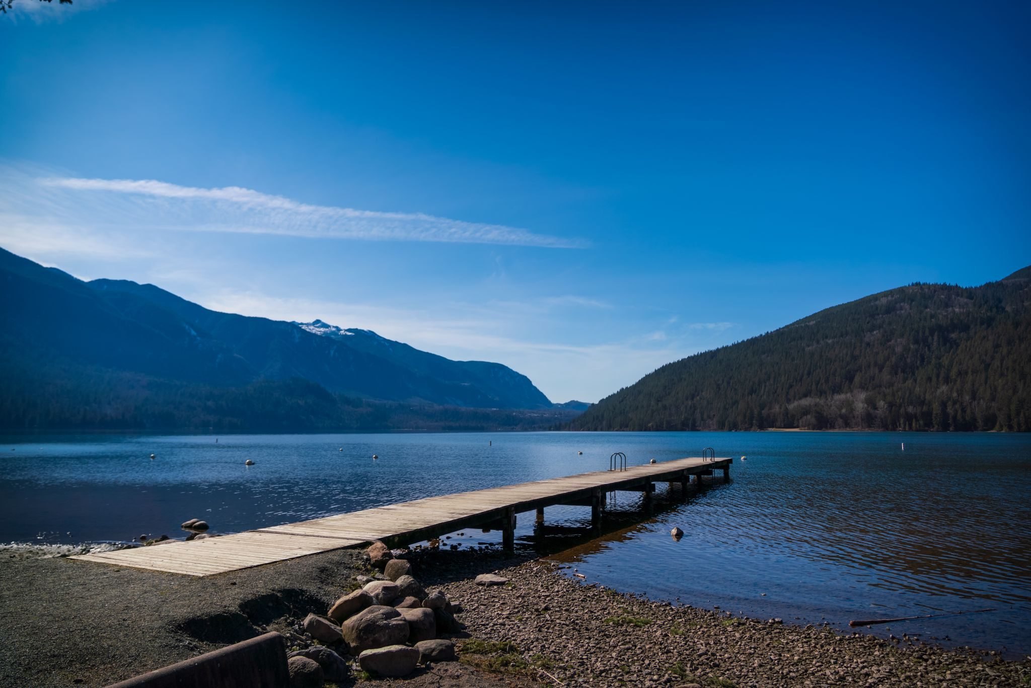 are dogs allowed at cultus lake