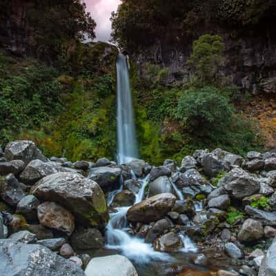 Dawson Falls Mt Taranaki North Island, New Zealand