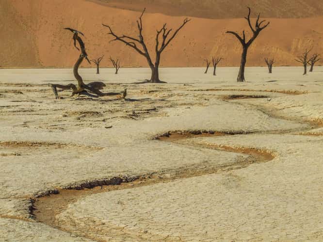 Deadvlei, Sossusvlei