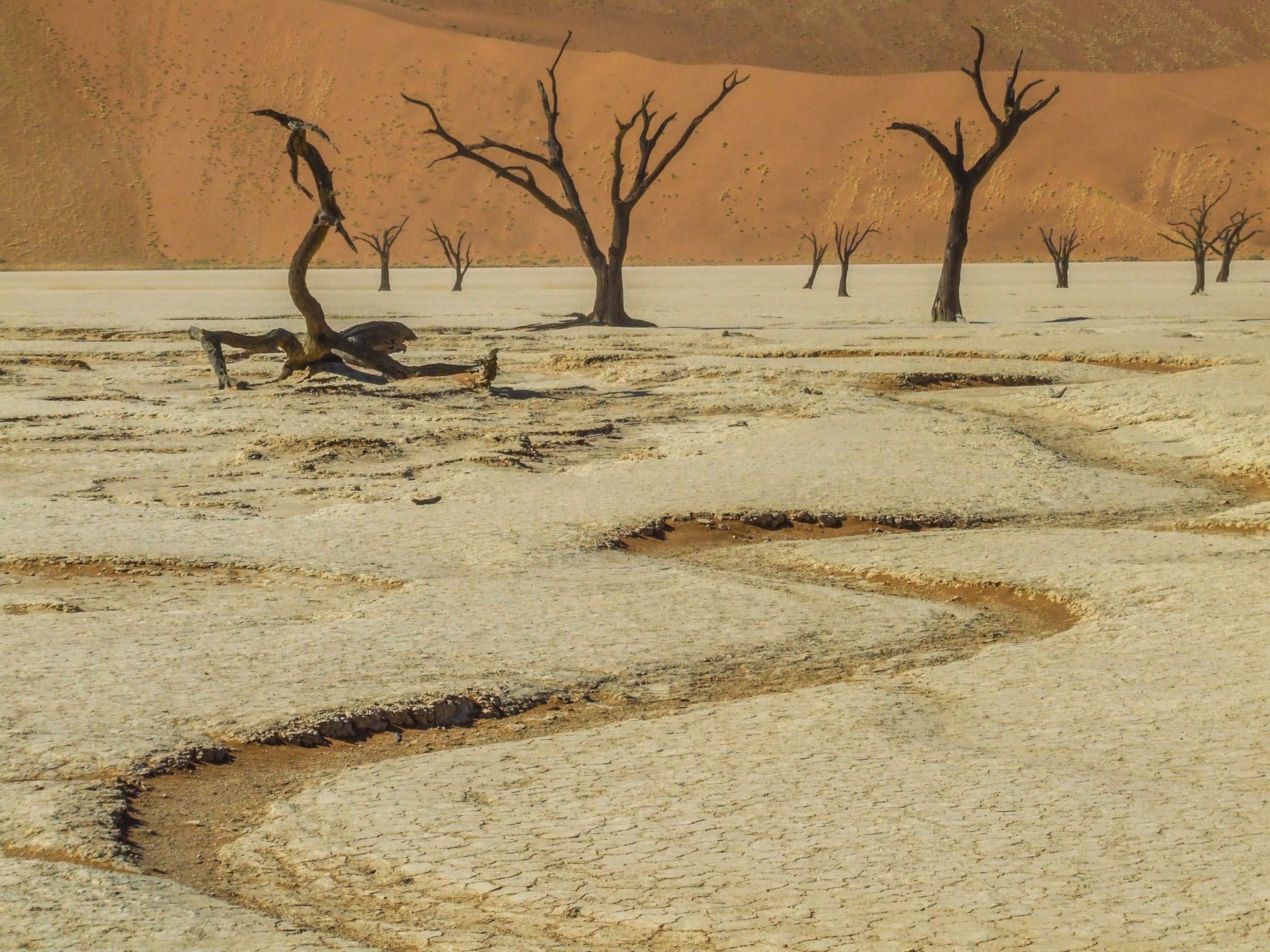 Deadvlei, Sossusvlei, Namibia