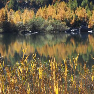 Derborance lake, Switzerland