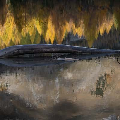 Derborence lake, Valais., Switzerland