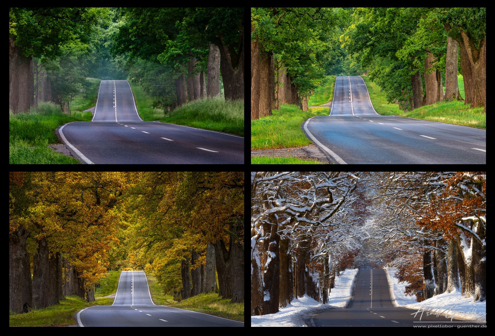 Lonely Road, Germany