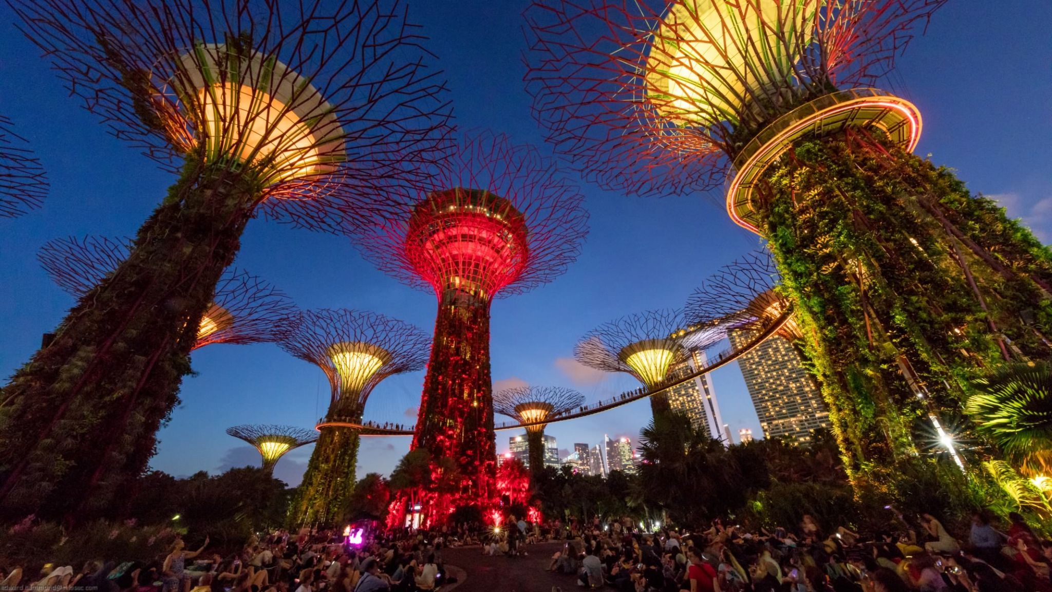 Gardens by the Bay SuperTree forest, Singapore, Singapore
