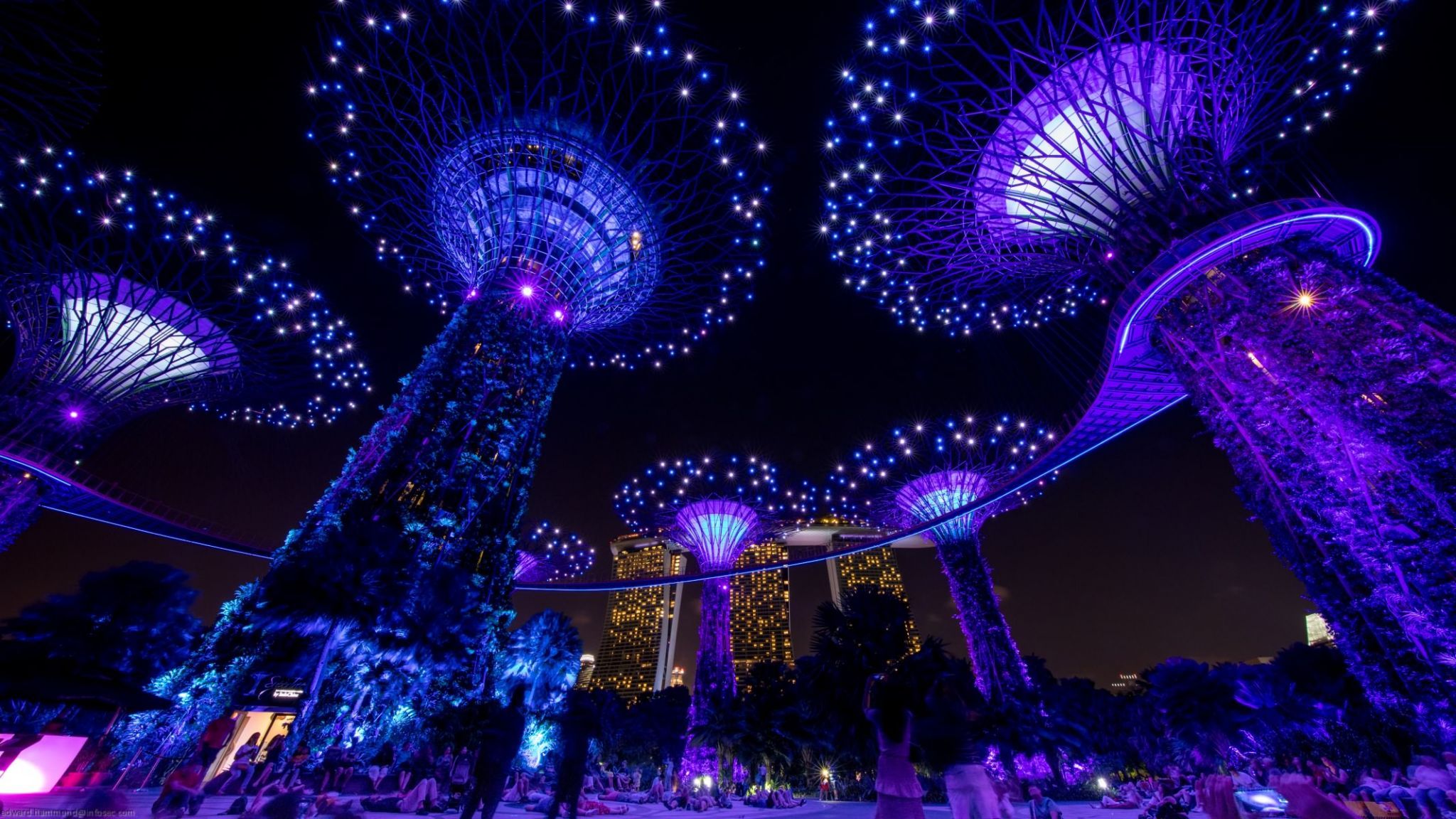 Gardens by the Bay SuperTree forest, Singapore, Singapore