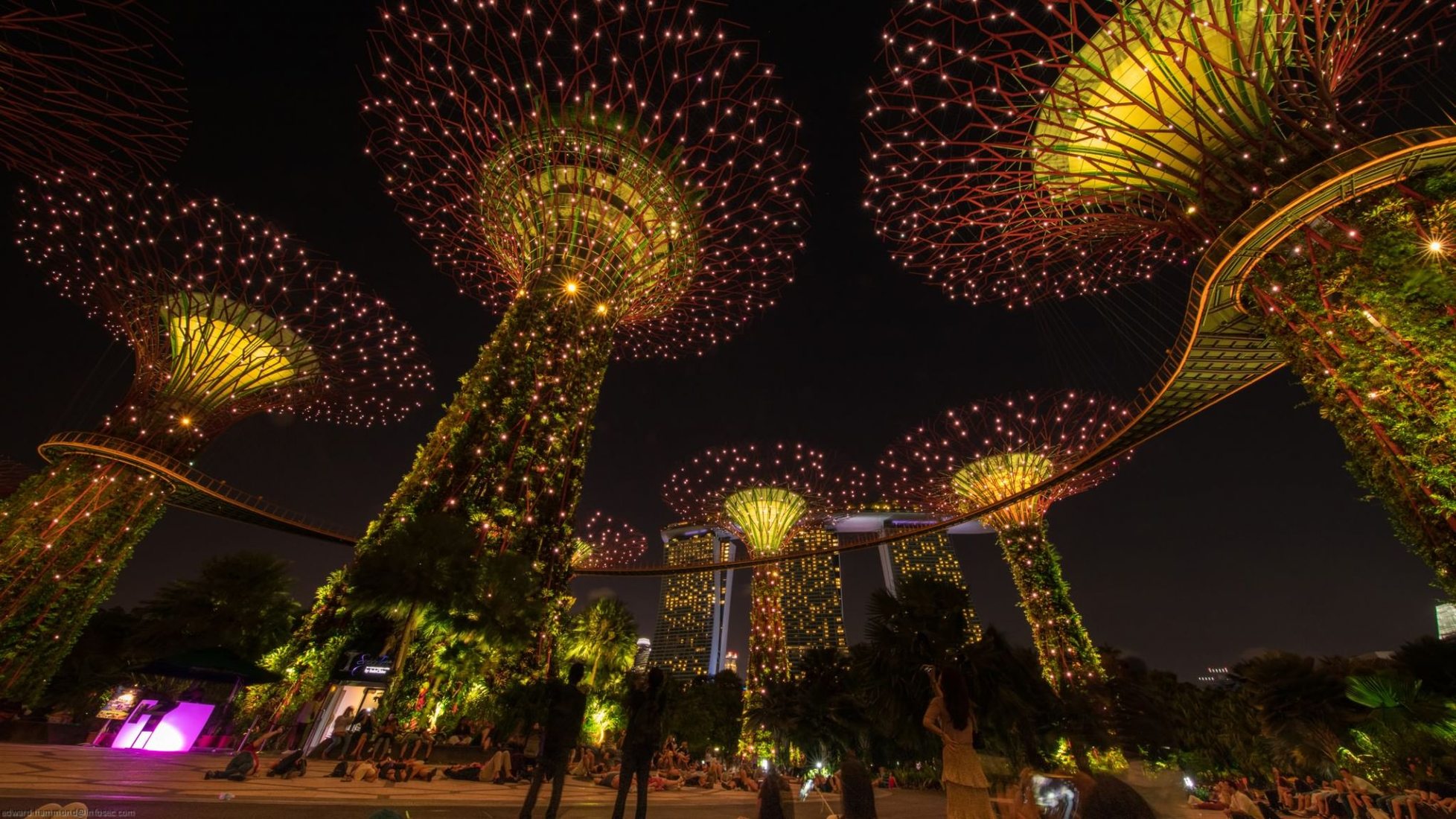 Gardens by the Bay SuperTree forest, Singapore, Singapore