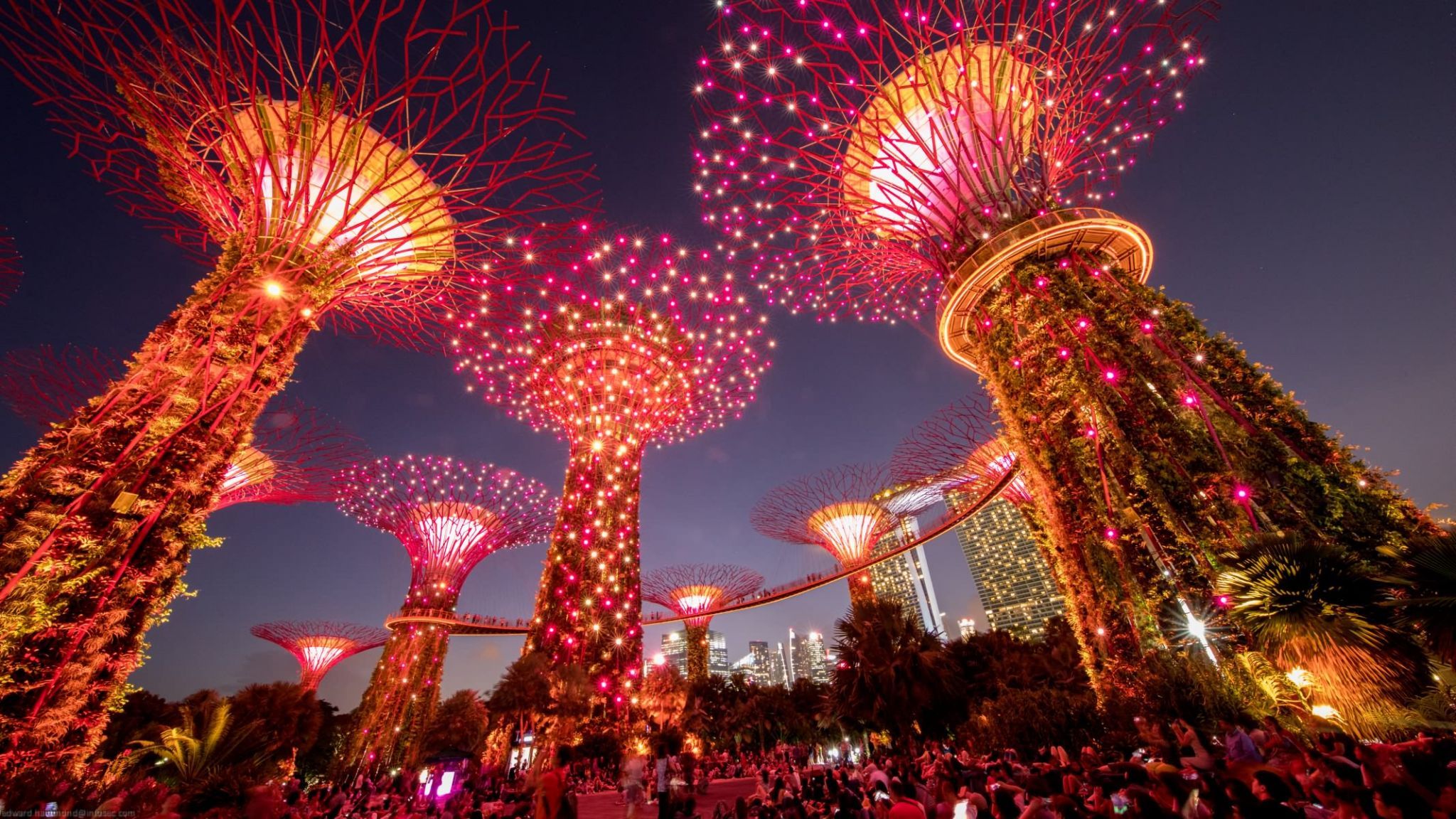 Gardens by the Bay SuperTree forest, Singapore, Singapore