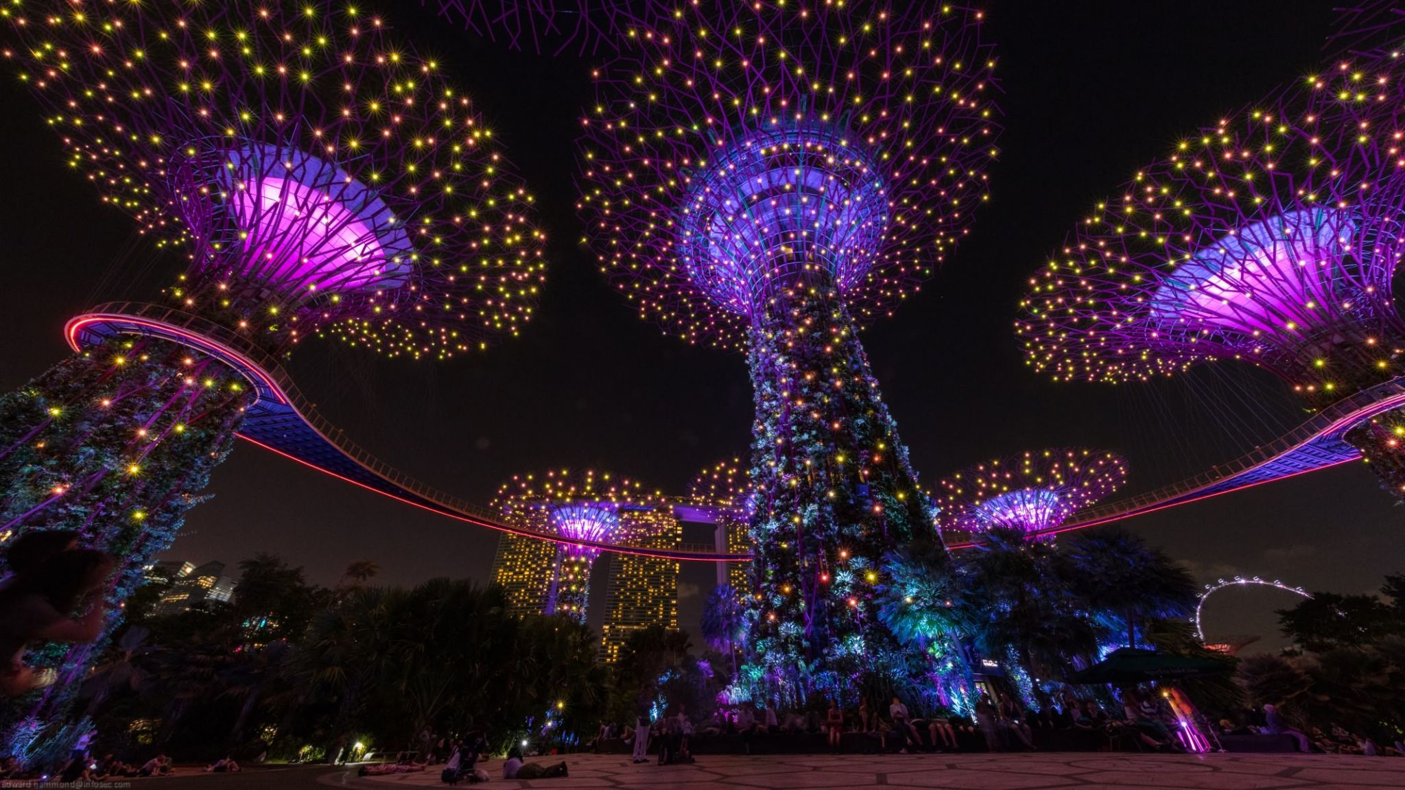 Gardens by the Bay SuperTree forest, Singapore, Singapore