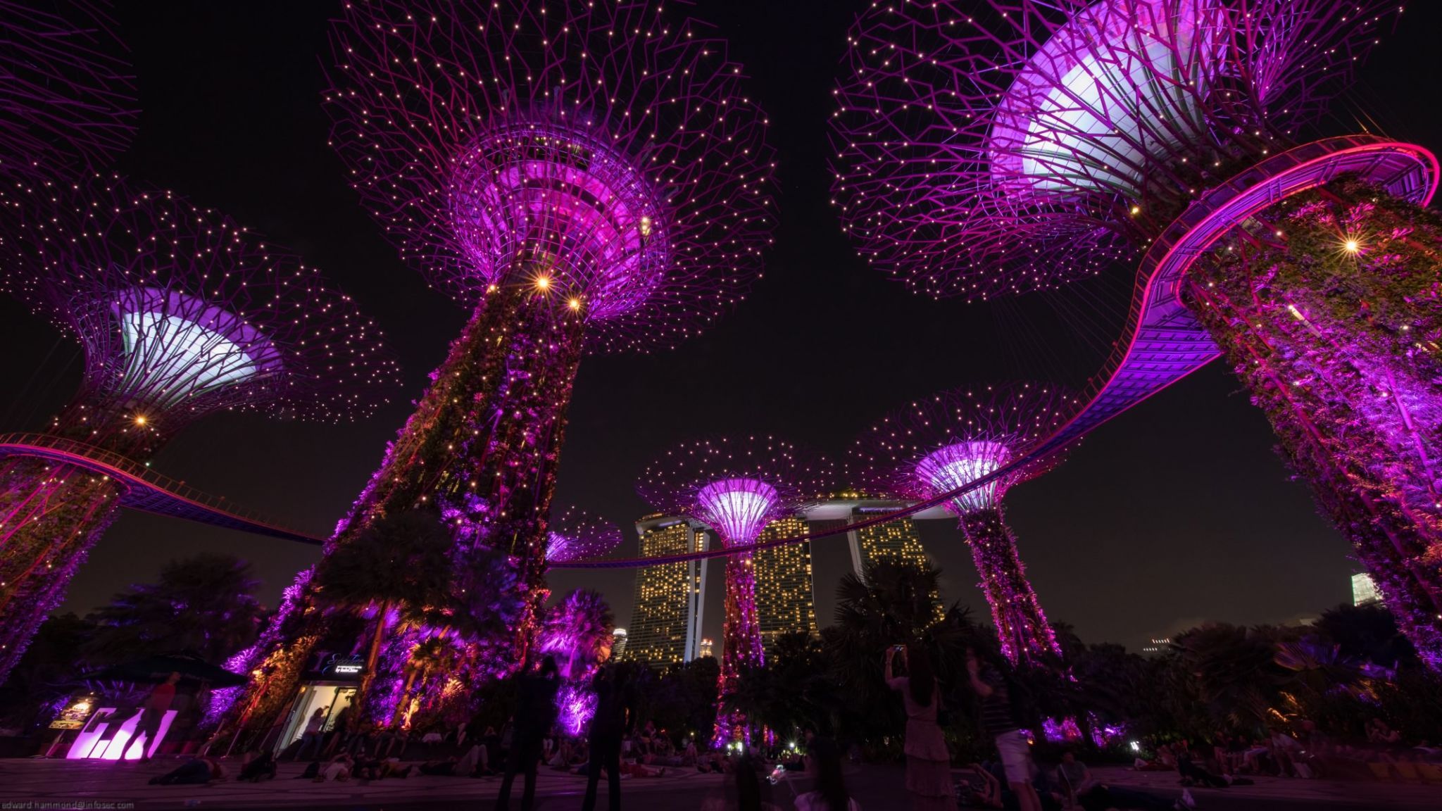 Gardens by the Bay SuperTree forest, Singapore, Singapore