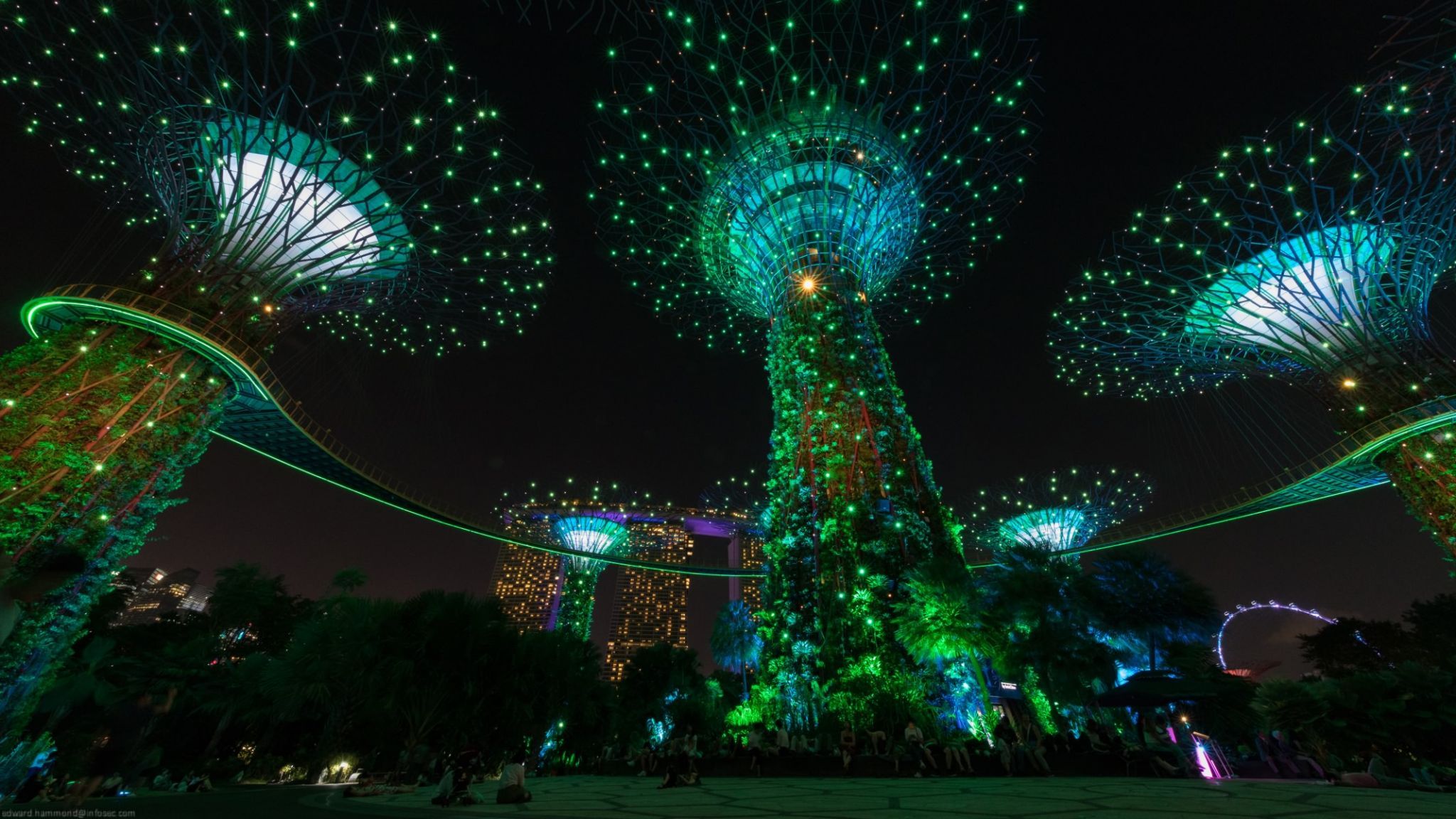 Gardens by the Bay SuperTree forest, Singapore, Singapore