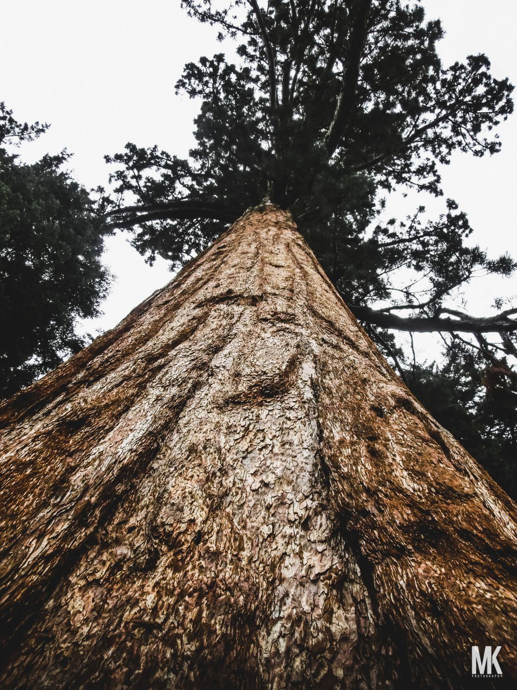 Sequoia and Kings Canyon National Parks, USA