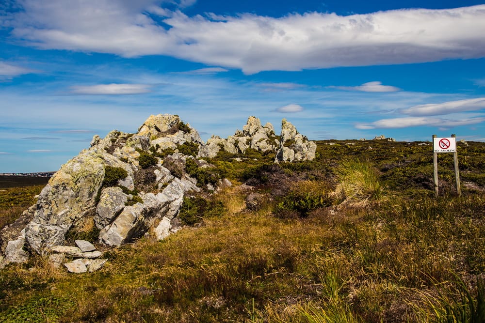Gypsy Cove, Saunders Islands, Falkland Islands (Malvinas)