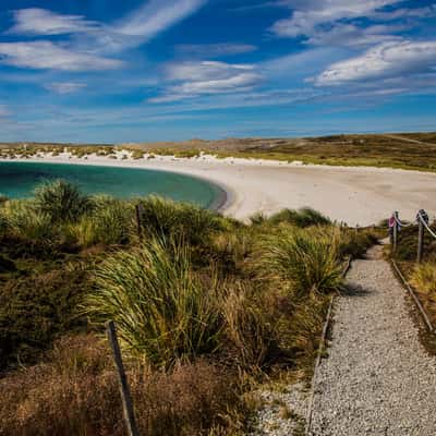 Gypsy Cove, Saunders Islands, Falkland Islands (Malvinas)