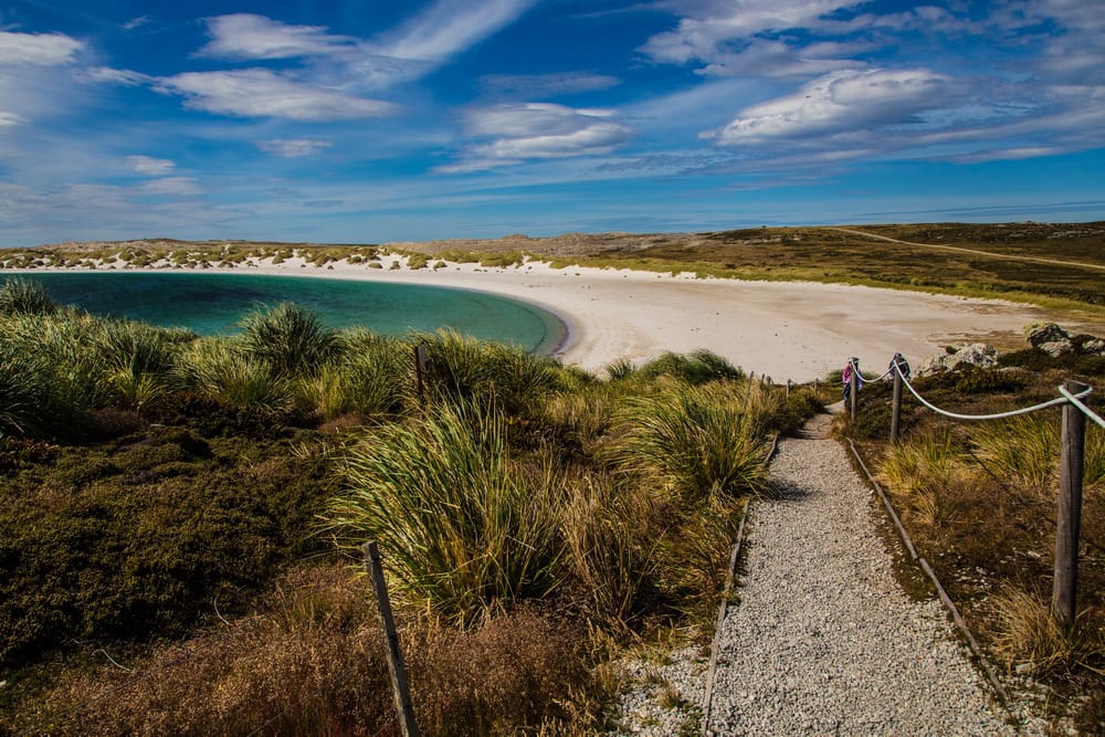 Gypsy Cove, Saunders Islands, Falkland Islands (Malvinas)