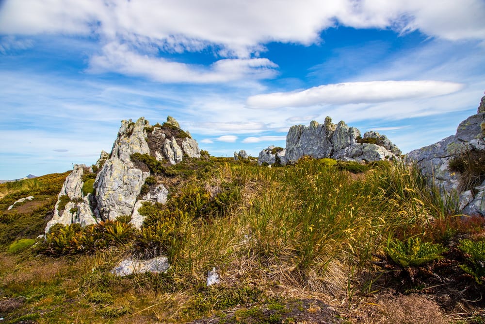 Gypsy Cove, Saunders Islands, Falkland Islands (Malvinas)