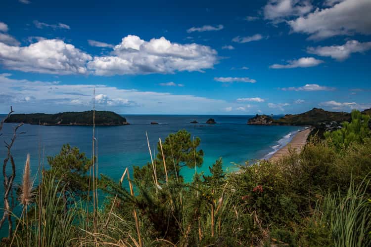 Hahei Bay Coromandel North Island