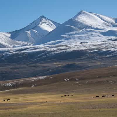 Kyagar Tso, India