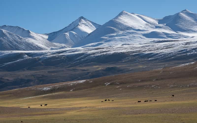 Kyagar Tso