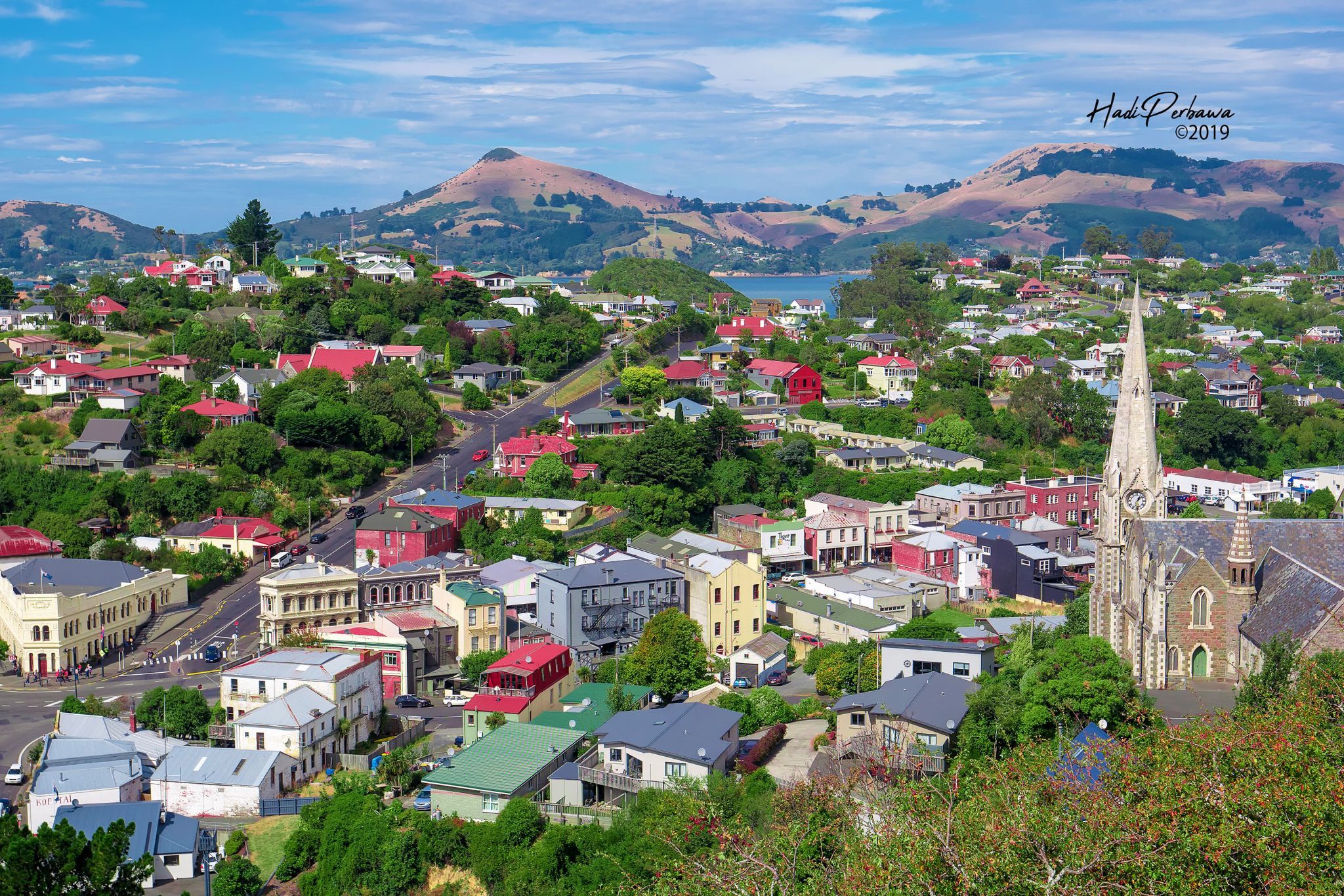 Lady Thorn Lookout, New Zealand