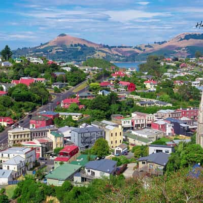 Lady Thorn Lookout, New Zealand