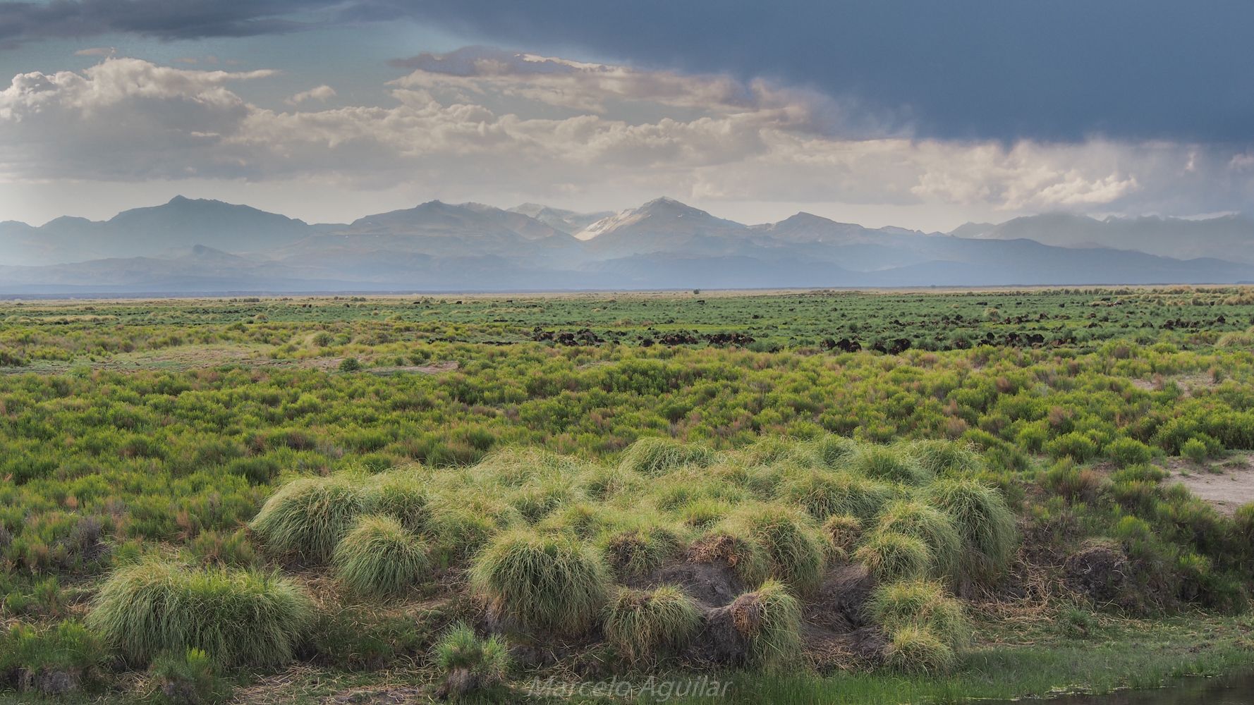 llancanelo, Argentina
