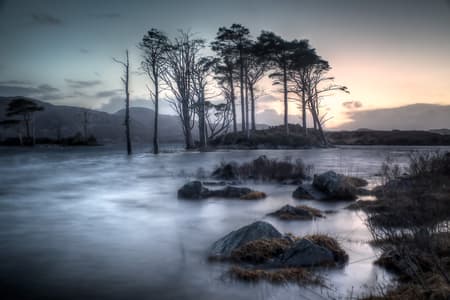 Loch Assynt Islands