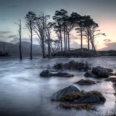 Loch Assynt Islands, United Kingdom