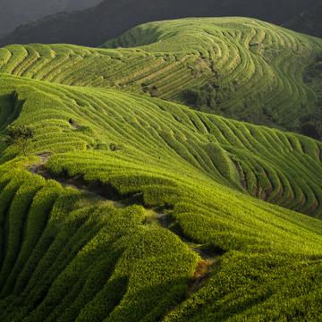 Longii rice terraces, China