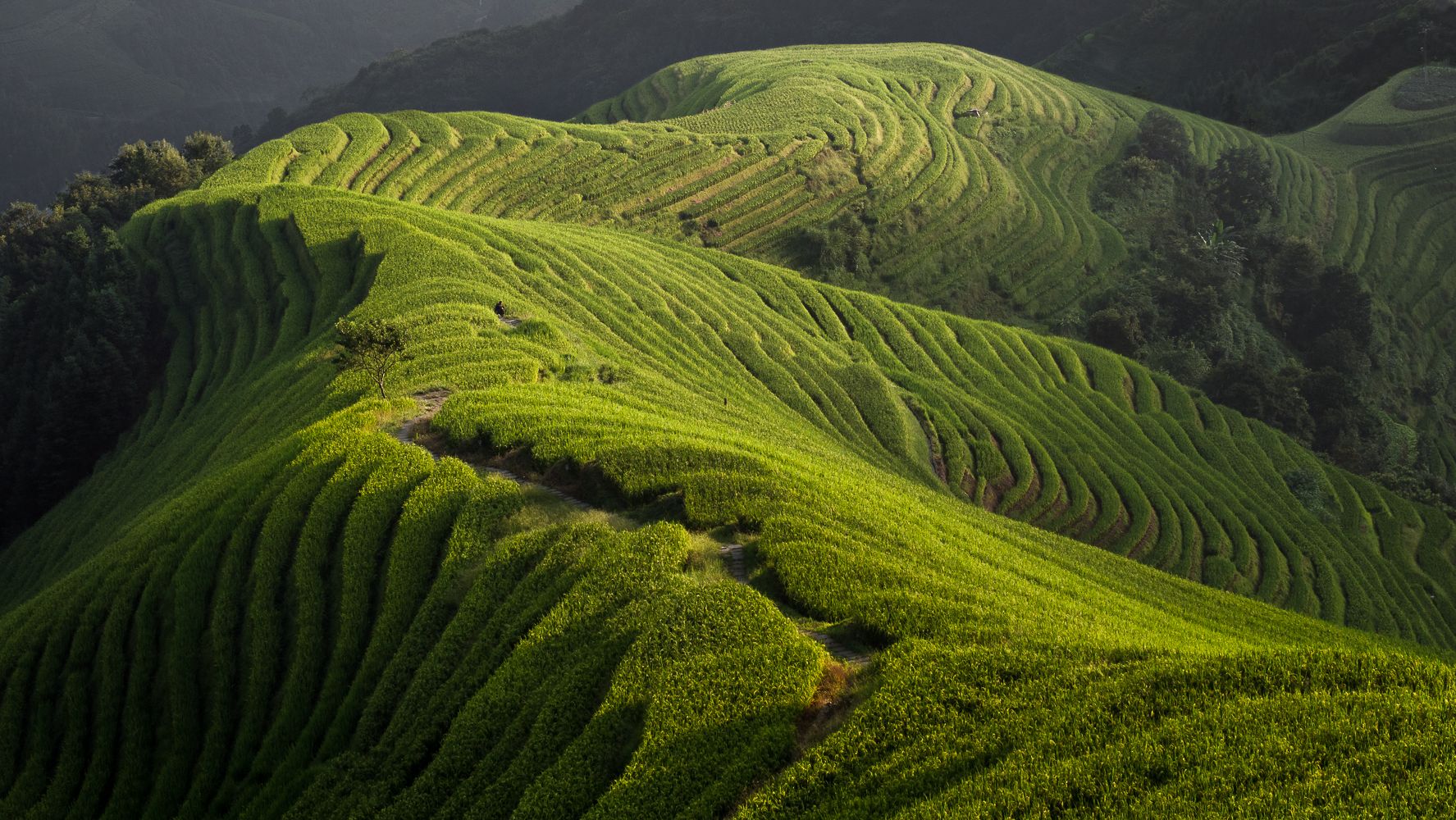 Longii rice terraces, China