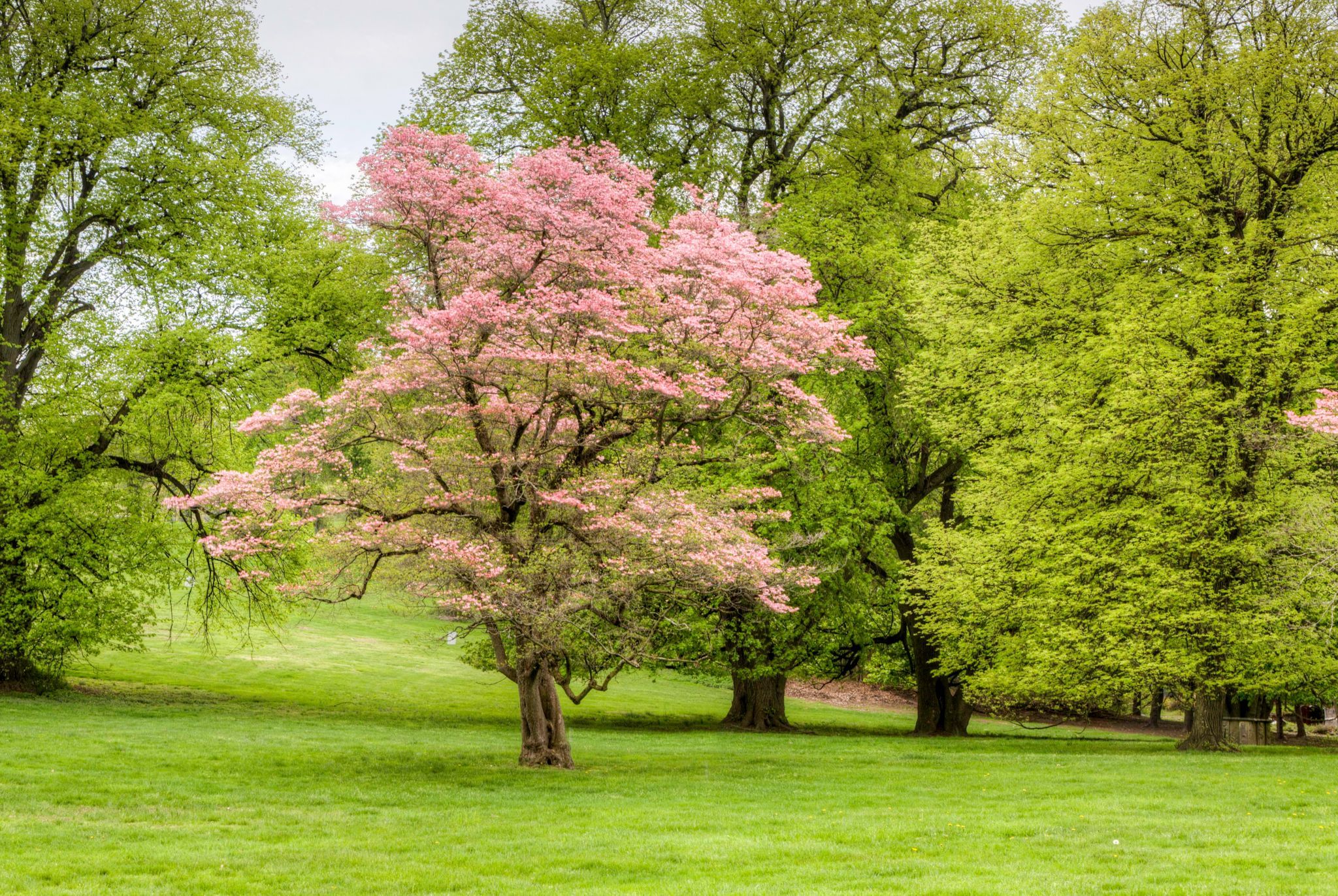 Lyndhurst Mansion, USA