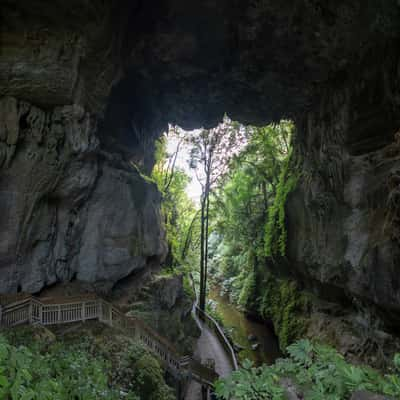 Mangapohue Natural Bridge North Island, New Zealand