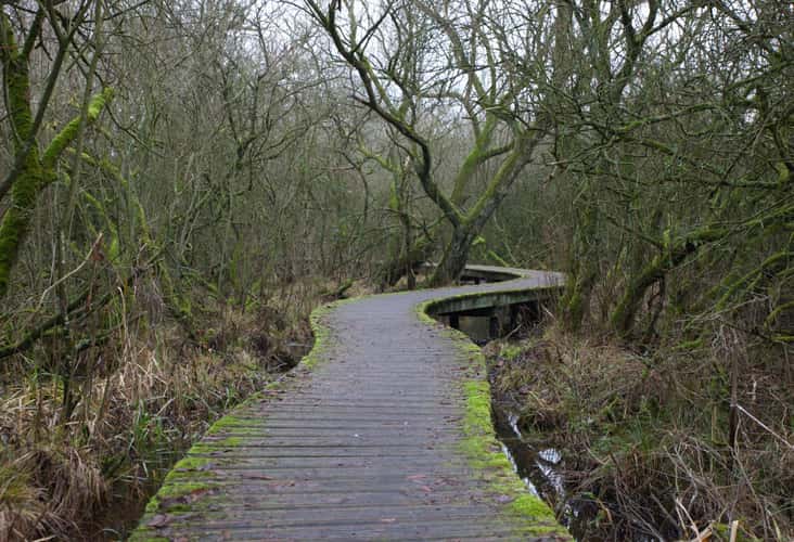 De Moerputten natural reserve